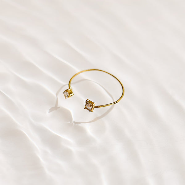 Two of a Kind Ring - EVRYJEWELS