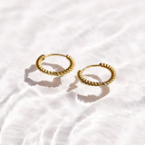 Chunky Twist Hoop Earrings - EVRYJEWELS