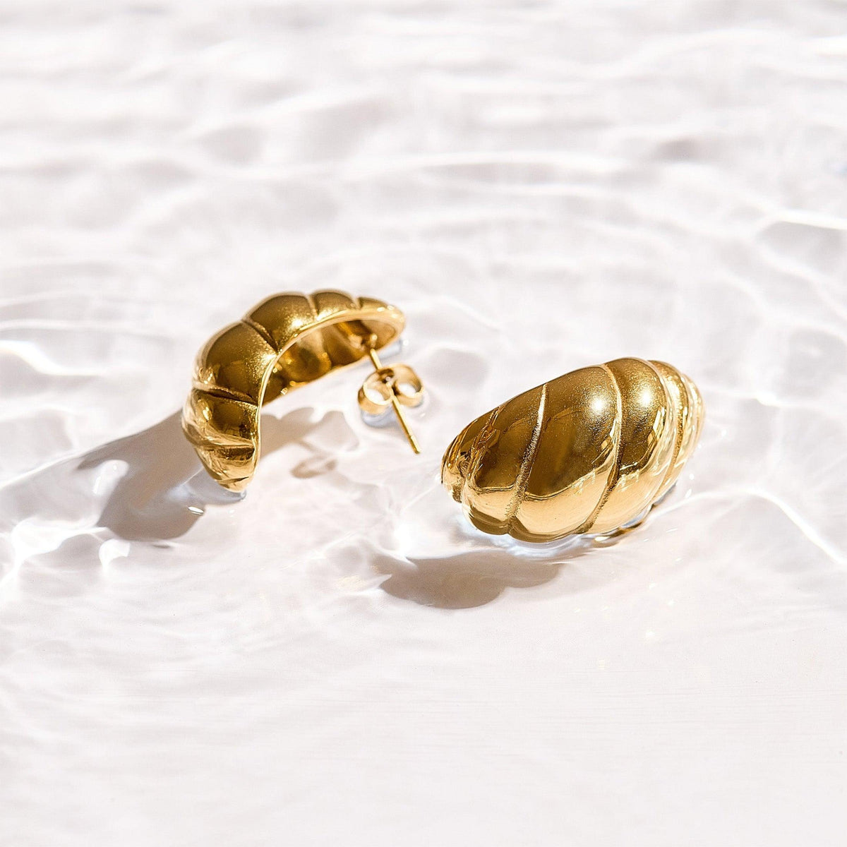 Twist Shell Dome Earrings - EVRYJEWELS