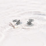 North Star Crystal Studs - EVRYJEWELS