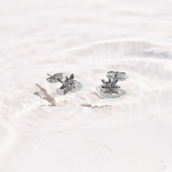 North Star Crystal Studs - EVRYJEWELS