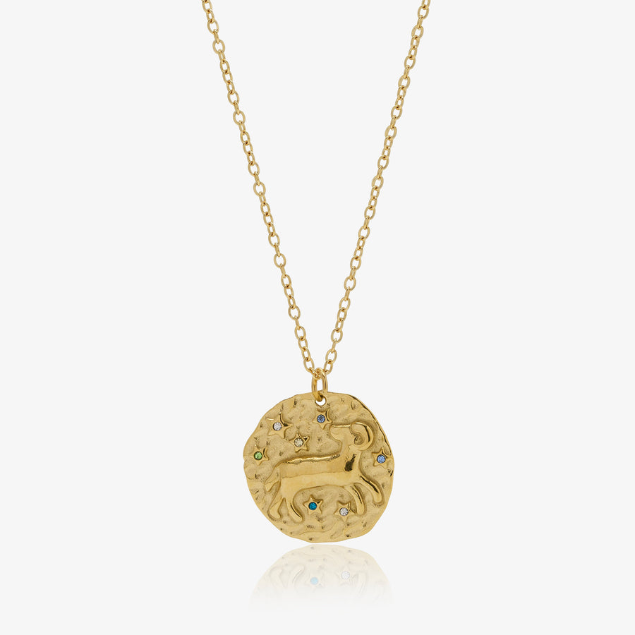 It's Not Me It's My Sign Necklace - EVRYJEWELS