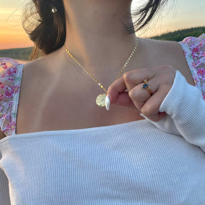 Collier Sand Dollar