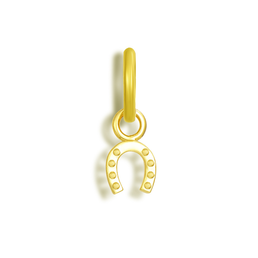 Good Fortune Charm - Gold