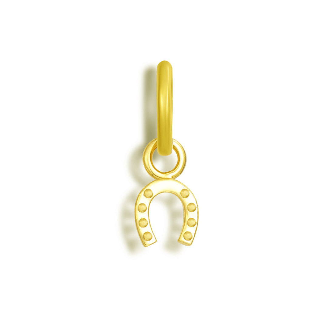 Good Fortune Charm EVRYJEWELS