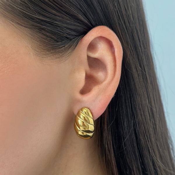 Twist Shell Dome Earrings - EVRYJEWELS