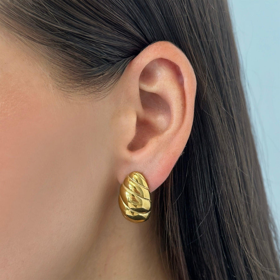 Twist Shell Dome Earrings - EVRYJEWELS