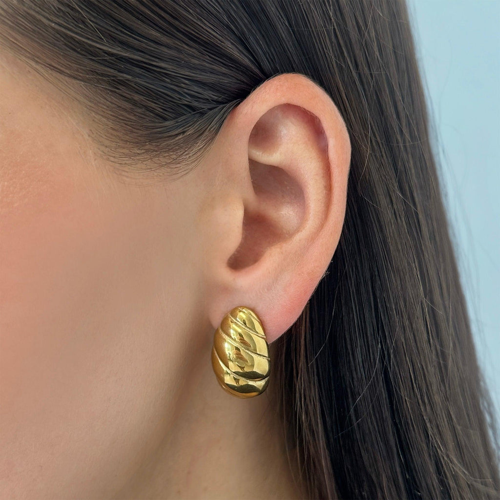 Twist Shell Dome Earrings - EVRYJEWELS