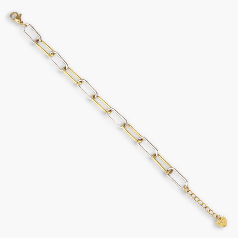 Luxe Link Bracelet - EVRYJEWELS