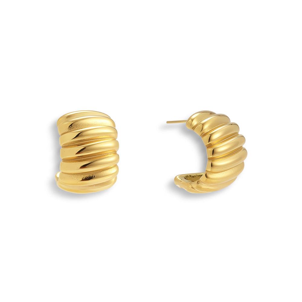 Rich Behavior Earrings - EVRYJEWELS