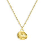 Shelly Necklace - EVRYJEWELS