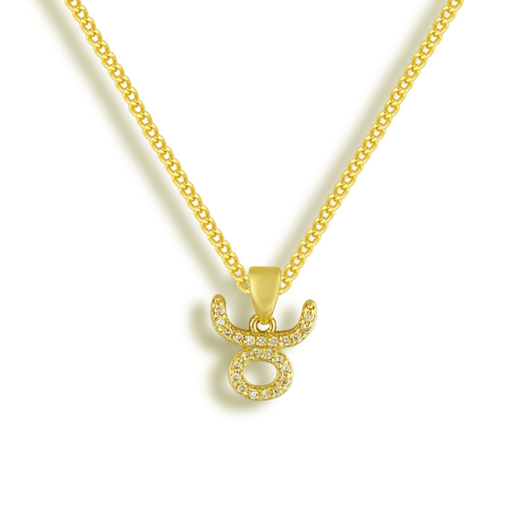 Star Signs Necklace - EVRYJEWELS