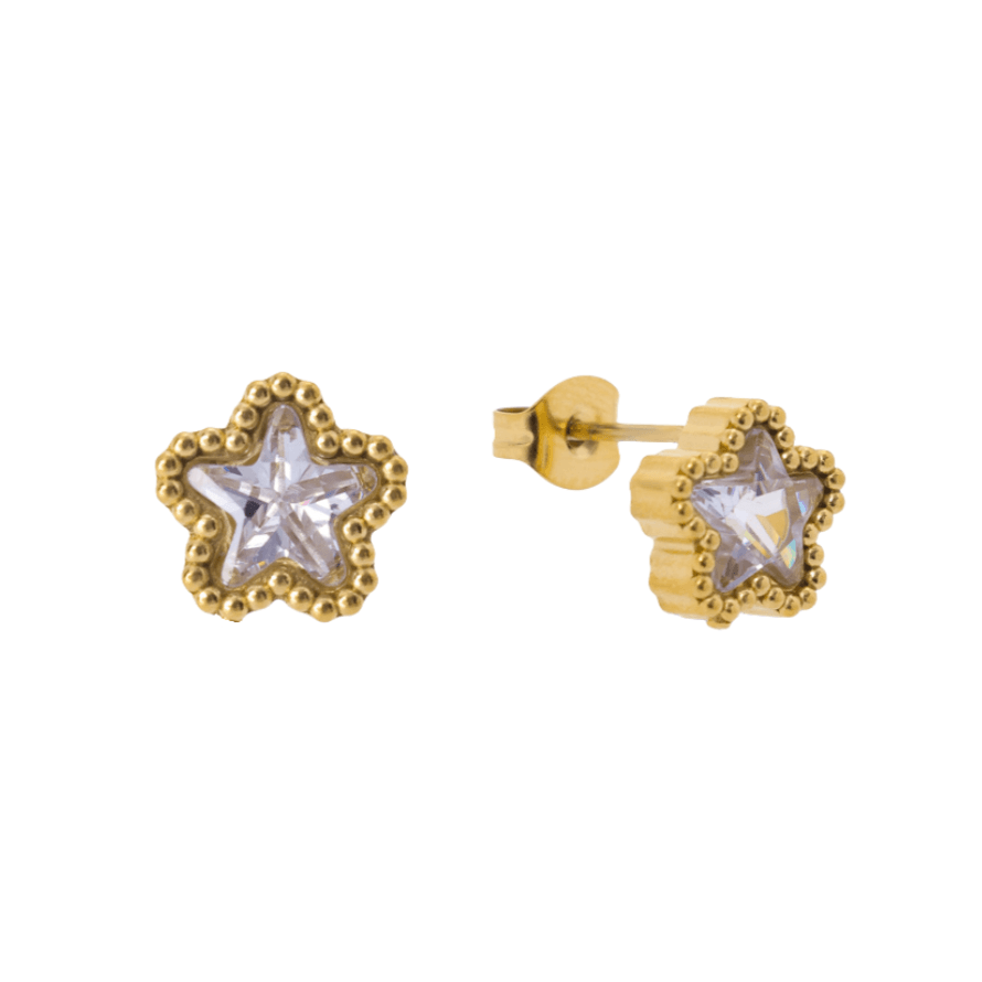 Starstruck Earrings - EVRYJEWELS