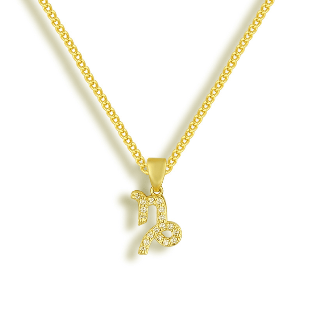 Star Signs Necklace - EVRYJEWELS