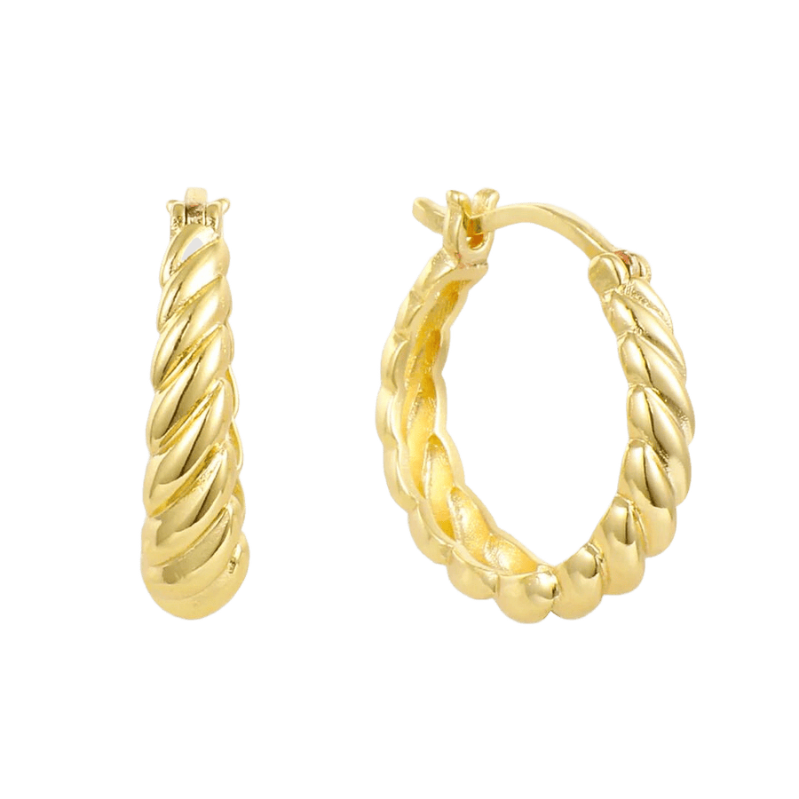 Don't Get It Twisted Earrings - EVRYJEWELS