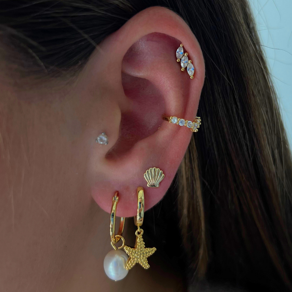 Starfish Earrings