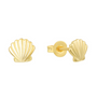 Seashell Earrings