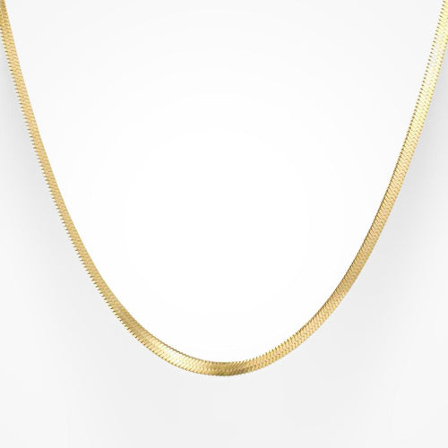Shining Snake Necklace - EVRYJEWELS