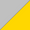  Silver / Gold